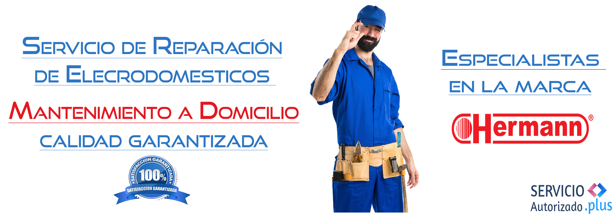 Servicio Autorizado Zaragoza Plus